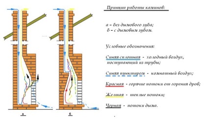 Ce este semineu dinte, luchesk Jurnal