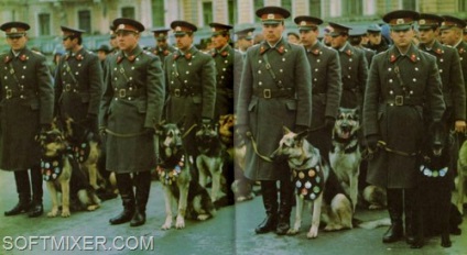 poliție (miliție) Ziua zi miliției