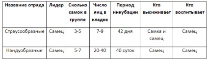 GDZ - răspunsuri la registrul de lucru în biologie