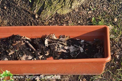 Pregătirea terenului pentru plantare (răsad pregătirea terenului) pregătirea terenului pentru plantare