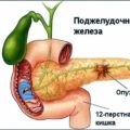 Creșterea ecogenicitate a pancreasului ce inseamna