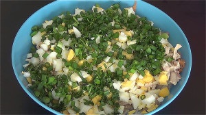 salata daikon cu pui, rețete de casă (daikon) salata Daikon cu pui, rețete de casă