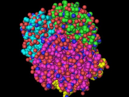 Anemia 1 grad (anemie) Anemia 1 grad