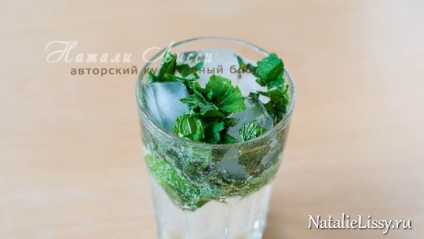 Mojito non-alcoolice - reteta proaspete pentru vara (reteta cocktail mojito) dvs. Mojito non-alcoolice - reteta proaspete pentru vara