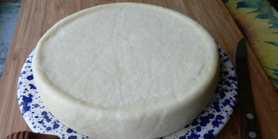 Brânză din lapte de capră (brânză) Brânză albă din lapte de capră