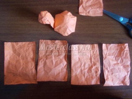 plastic hârtie în grădiniță (jumătate ori în jumătate) plastic, hârtie în grădiniță