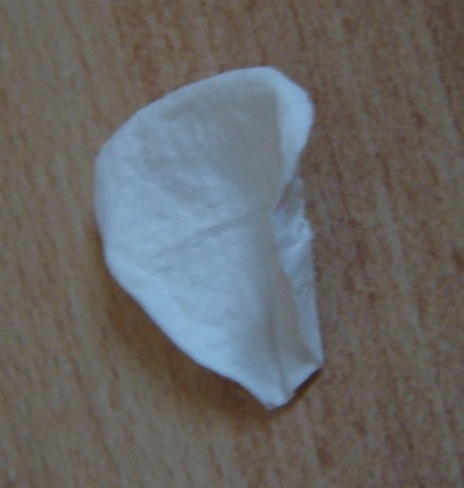 Formarea hârtiei (tehnica formării hârtiei) un strat de hârtie