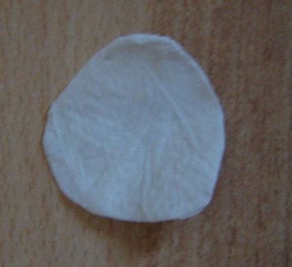 strat de hârtie (de fabricație) un strat de hârtie