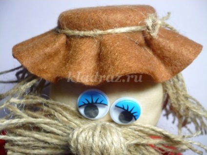 Brownie cu propriile lor mâini de nylon lor (5 sticlă de un litru) Brownie cu propriile lor mâini de nailon lor