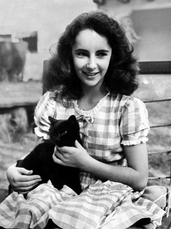 Elizabeth Taylor - vedeta a ecranului ( „Cui ie frică de Virginia) Elizabeth Taylor - stea ecran