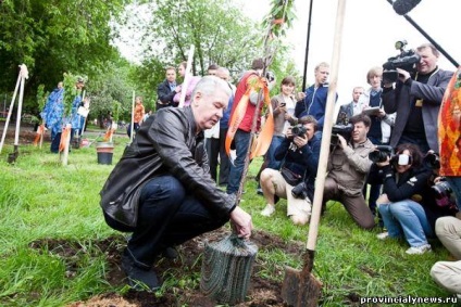 Festivalul de lemn de cireș (Cherry) Cherry Festival din lemn