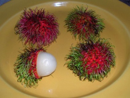 Fructe Tailanda (Tailanda) fructe din Thailanda