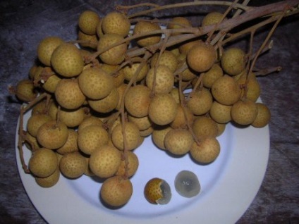 Fructele din Tailanda (disponibil preț rotund) fructe din Thailanda