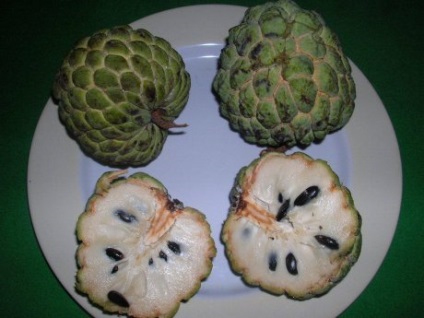 Fructe Thailanda (mango) fructe din Thailanda