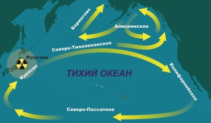 Fukushima continuă să ucidă - World News (Japonia) Fukushima continuă să ucidă - World News