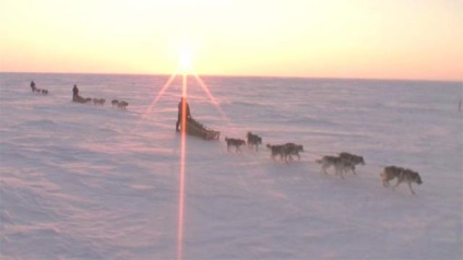 Gene înălțime sau cum să ajungi la Everest „- Prima Baltică Canalul (Valdis) Gene înălțime sau cum să ajungi la Everest „- primul canal Baltic