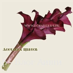 Idei buchete de nunta, 1001 idei - idei interesante și neobișnuite pentru fiecare zi (buchet de mireasa) Idei buchete de nunta, 1001 idei - idei interesante și neobișnuite pentru fiecare zi