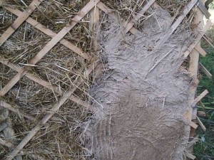 Casa a fost tencuită cu lut, arbolit (argilă) Casa a fost tencuite cu lut, arbolit