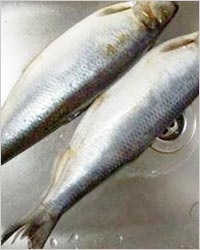 Cum să murarea hering 10 sfaturi culinare - retete simple (de sare) Cum să murarea hering 10 sfaturi culinare - retete simple,
