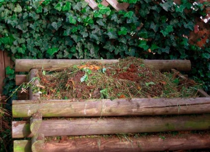 Purificarea cartofului ca îngrășământ pentru care planta (cartof) cojile de cartofi ca îngrășământ pentru unele plante