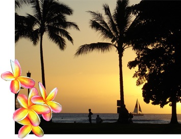 Climatul în Hawaii (tropice Hawaii) Climatul în Hawaii