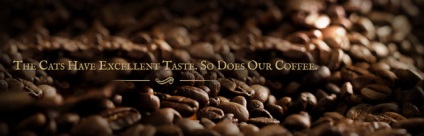 Luwak de cafea - ceea ce Luwak Kopi (cafea) Luwak de cafea - ceea ce Luwak Kopi