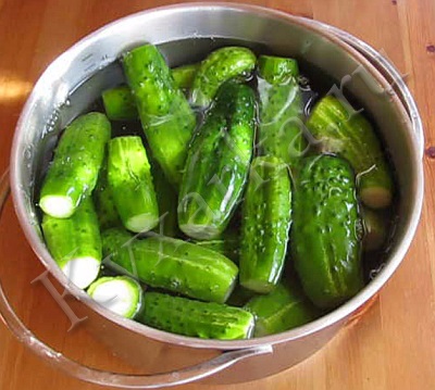 Castravete sarat (per litru borcan) Conserve castraveti murati