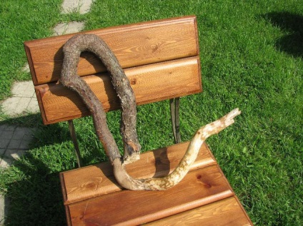 sculptură în lemn Korneplastika ~ (sculptură) Korneplastika ~ sculptură în lemn