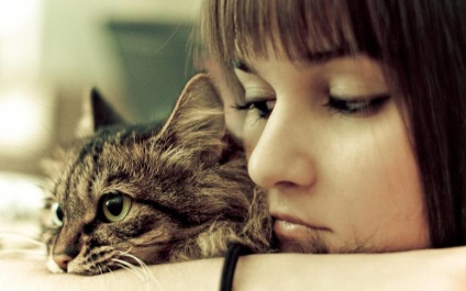 Cat de marcare labele din față (video) Cat de marcare labele din față