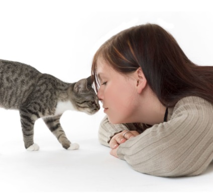 Cat de marcare labele din față (psihologia pisicilor) Cat de marcare labele din față
