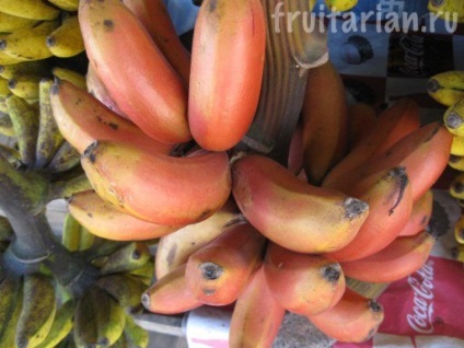 banane Red Morado (morado) banane Red Morado