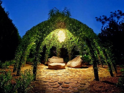 Amenajare a teritoriului (plante Hedges) Amenajare a teritoriului
