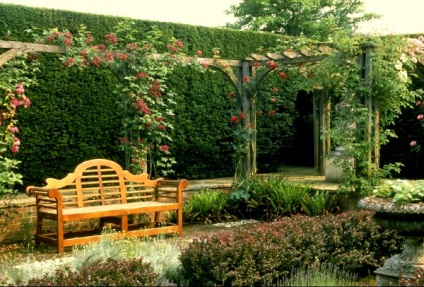 Amenajare a teritoriului (plante Hedges) Amenajare a teritoriului