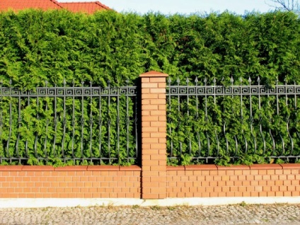 Design de landsaft (proiectare) Amenajare a teritoriului