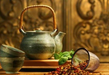 Proprietăți medicinale de elderberry roșu, contraindicații utilizarea plantelor (elderberry) Proprietăți medicinale socului roșu, contraindicații pentru utilizarea plantelor