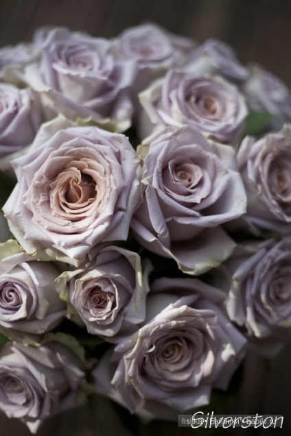 Culoare Magic - a crescut de cenușă (păpuși de colecție zaverushinski) Magic Color - Ash Rose