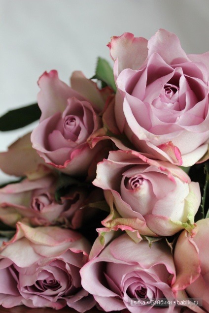 Culoare Magic - cenușă a crescut (de culoare) Magic Color - Ash Rose
