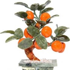 tree Tangerine (mandarină) copac mandarină