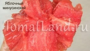 roșii Minusinsk (Minusinska culoarul din mijloc) Minusinsk tomate