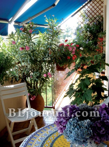 balcon moda, amenajare a teritoriului (caseta pot fi plantate) Moda balcon amenajare a teritoriului