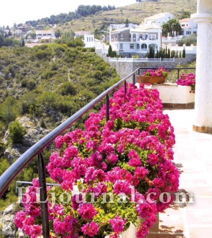 balcon moda, amenajare (balcoane) Moda balcon amenajare a teritoriului