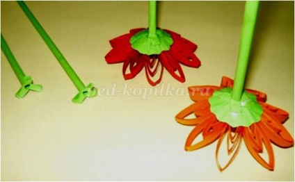 flori tridimensionale în tehnica „Quilling“ cu propriile sale mâini (Quilling) flori tridimensionale în tehnica „Quilling“ cu propriile sale mâini