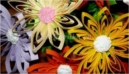 flori tridimensionale în tehnica „Quilling“ cu propriile sale mâini (flori) flori tridimensionale în tehnica „Quilling“ cu propriile sale mâini