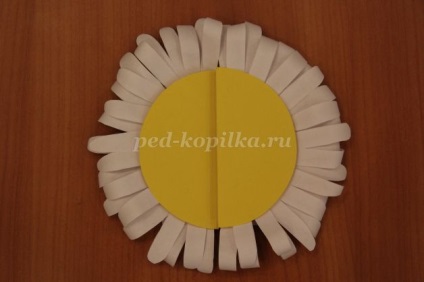 Cardul original pentru ziua de familie cu mâinile lor (carte) Cardul original pentru ziua de familie cu propriile lor mâini