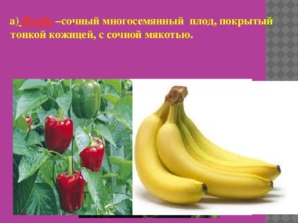 Fructe - lecții de biologie (simplu suculent multi-semanate) Fructe - lecții de biologie