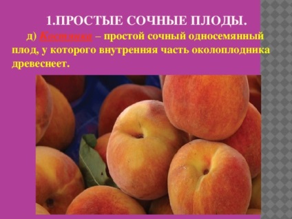Fructe - lecții de biologie (simplu suculent multi-semanate) Fructe - lecții de biologie