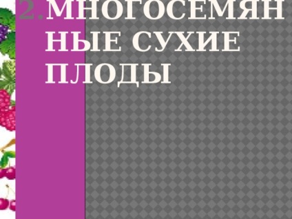 Fructe - lecții de biologie (fructe multi-însămânțat este) Fructe - lecții de biologie