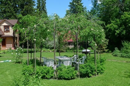 Pergola popular (foișor cu geamuri) foișor populare