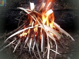 Foc de tabără (tabără) foc de tabără
