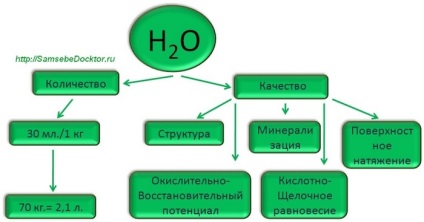 Alimentatia corecta este celulele organismului (celule tulburarilor alimentare) Alimentatia corecta este celulele organismului